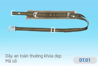 Dây an toàn thường khóa kép DT01